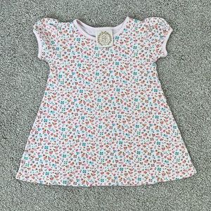 TBBC Penny Play Dress Fall Fest Floral 2T